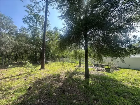 tbd NE 3rd Pl, Williston, FL 32696 photo 2
