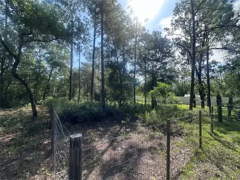tbd NE 3rd Pl, Williston, FL 32696 photo 3
