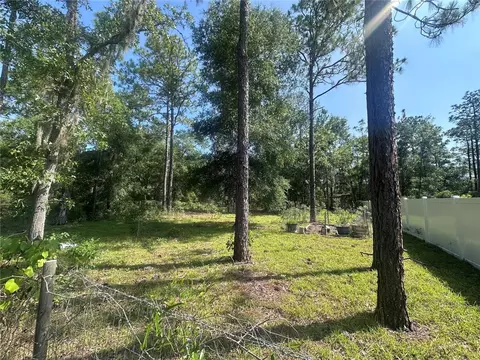 tbd NE 3rd Pl, Williston, FL 32696 photo 4