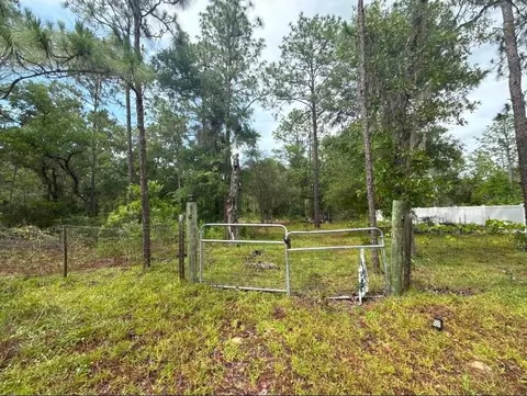 tbd NE 3rd Pl, Williston, FL 32696 photo 5