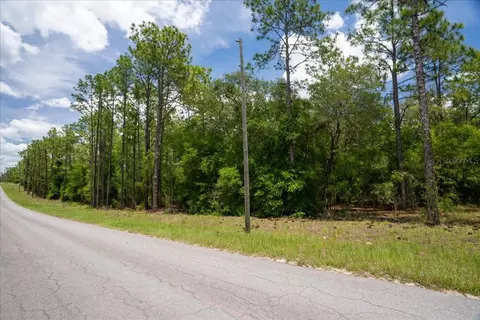 150 Th Ave, Williston, FL 32696 photo 2