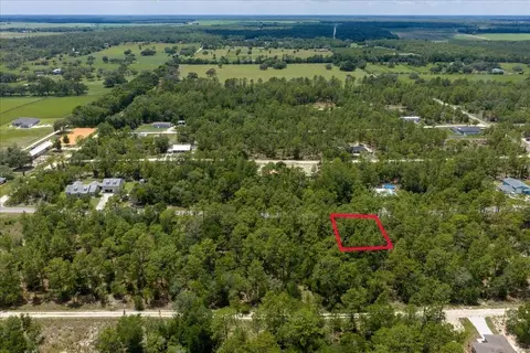 150 Th Ave, Williston, FL 32696 photo 6