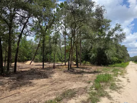 tbd NE 122nd Ave, Williston, FL 32696 photo 13