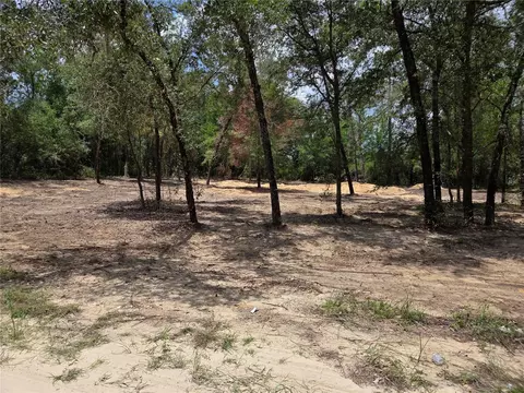 tbd NE 122nd Ave, Williston, FL 32696 photo 16