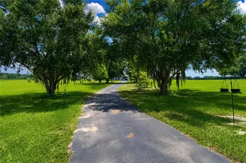 Other - 12345 NE 14th Ave, Anthony, FL 32617 photo 12 of 33