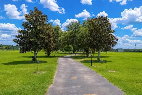 Other - 12345 NE 14th Ave, Anthony, FL 32617 photo 13 of 33