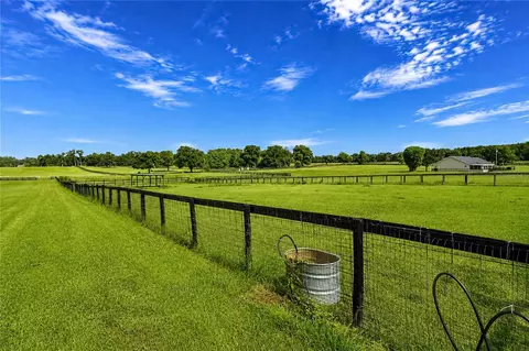 Other - 12345 NE 14th Ave, Anthony, FL 32617 photo 30 of 33