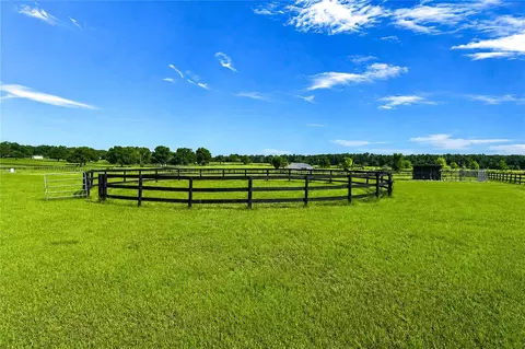 Other - 12345 NE 14th Ave, Anthony, FL 32617 photo 25 of 33