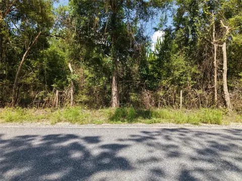 Ne 160th Ave, Williston, FL 32696 photo 6