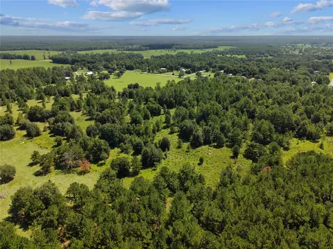 Ne 160th Ave, Williston, FL 32696 photo 4
