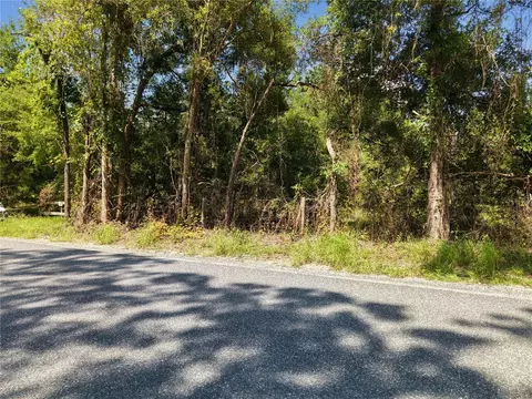 Ne 160th Ave, Williston, FL 32696 photo 7