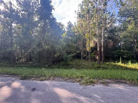 tbd Sequoia Loop Dr, Ocklawaha, FL 32179 photo 3