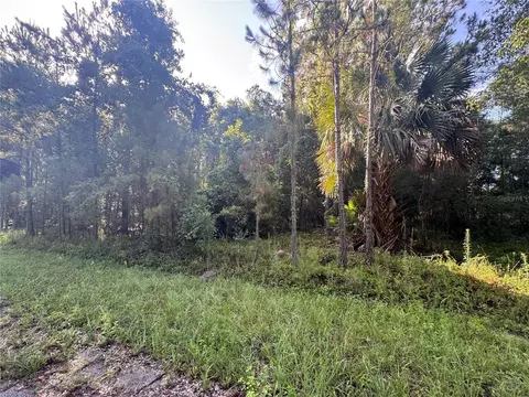 tbd Sequoia Loop Dr, Ocklawaha, FL 32179 photo 2