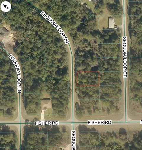 tbd Sequoia Loop Dr, Ocklawaha, FL 32179 photo 5