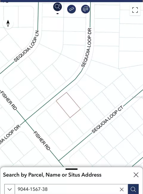 tbd Sequoia Loop Dr, Ocklawaha, FL 32179 photo 4