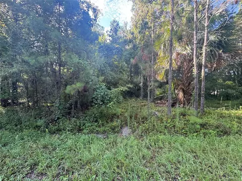 tbd Sequoia Loop Dr, Ocklawaha, FL 32179 photo 1