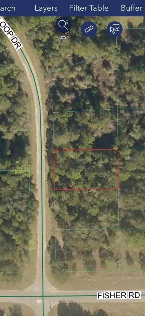 tbd Sequoia Loop Dr, Ocklawaha, FL 32179 photo 6