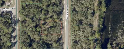 tbd Malauka Pass, Ocklawaha, FL 32179
