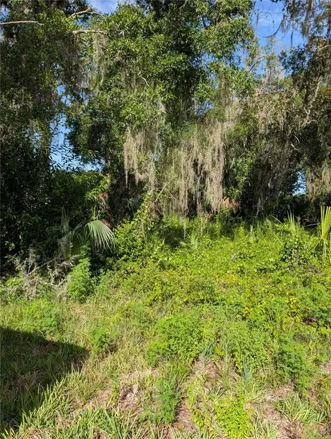 6650 N Beechnut Loop, Hernando, FL 34442 photo 2
