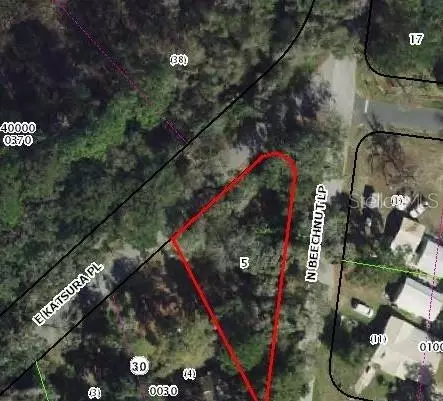 6650 N Beechnut Loop, Hernando, FL 34442 photo 5