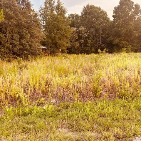 tbd Dogwood Drive Crse, Ocala, FL 34472