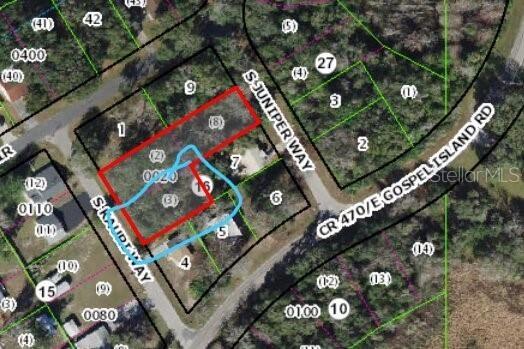 lot3 S Kauri Way, Inverness, FL 34450