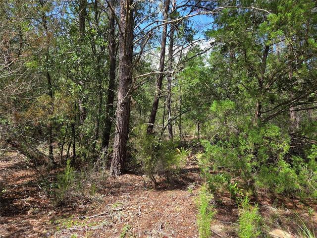 0000 NE 95th St, Archer, FL 32618