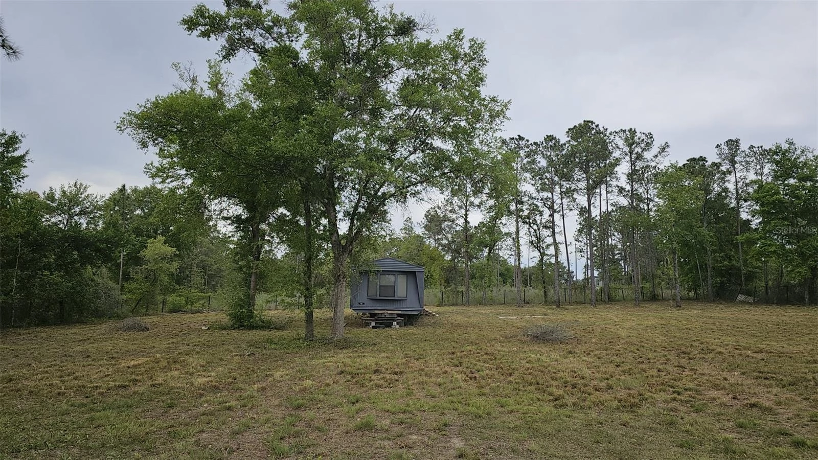 1390 NE 130th Ave, Williston, FL 32696 photo 9
