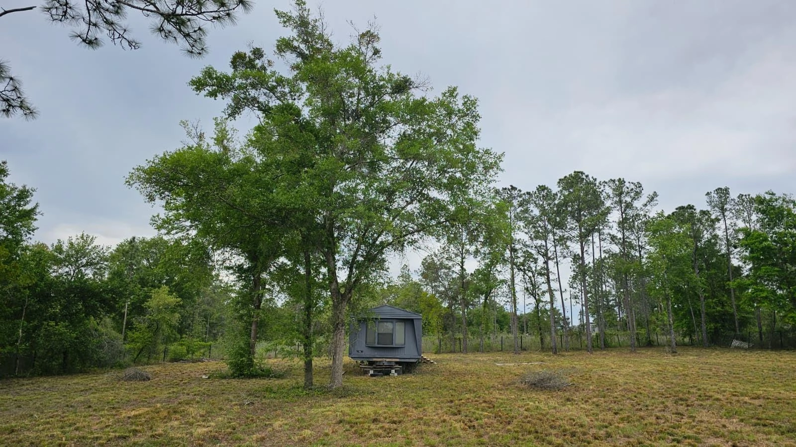 1390 NE 130th Ave, Williston, FL 32696 photo 7