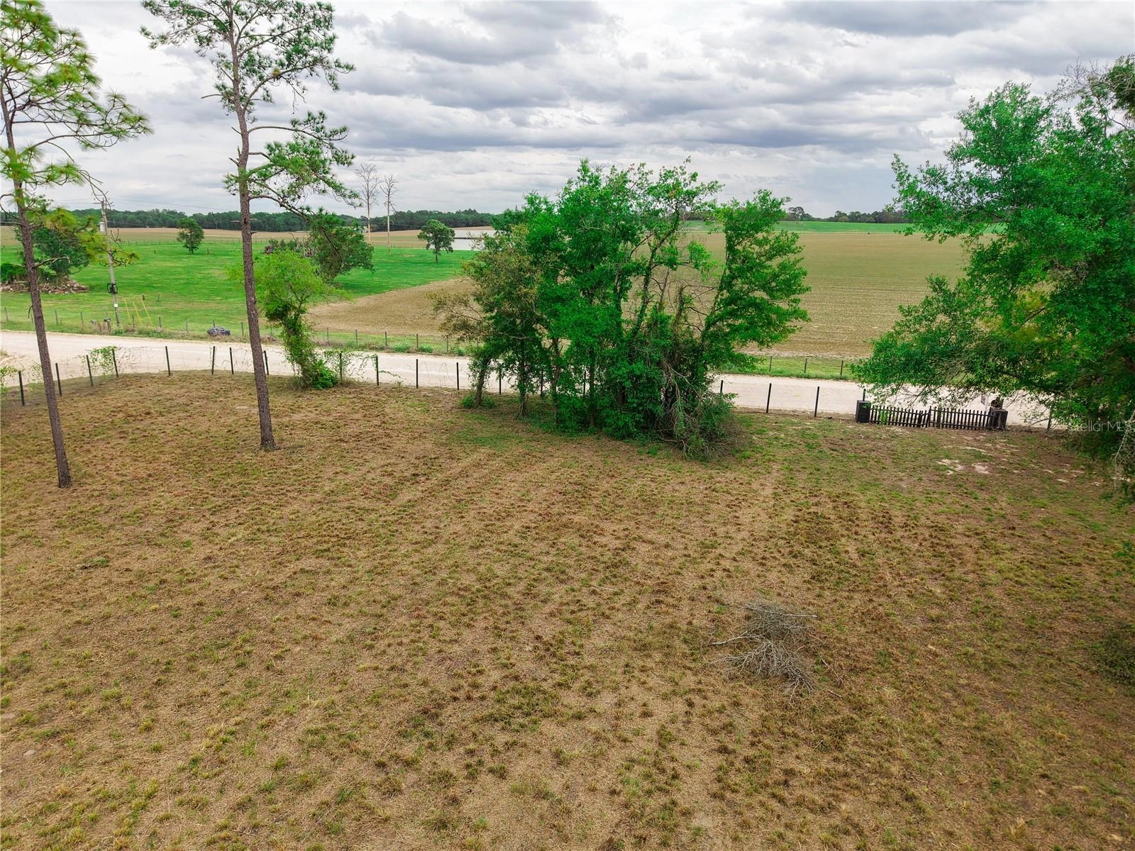 1390 NE 130th Ave, Williston, FL 32696 photo 22