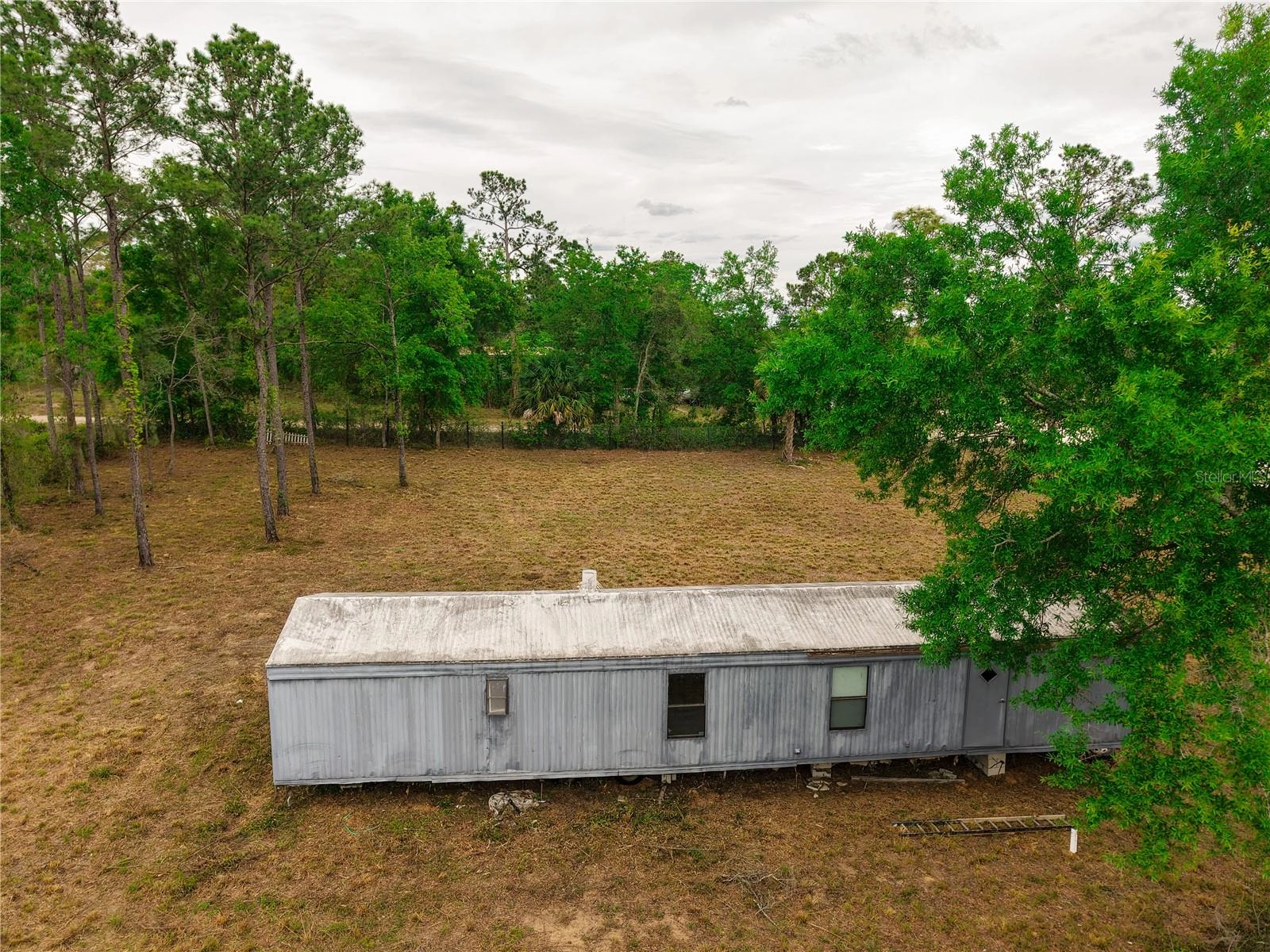 1390 NE 130th Ave, Williston, FL 32696 photo 1