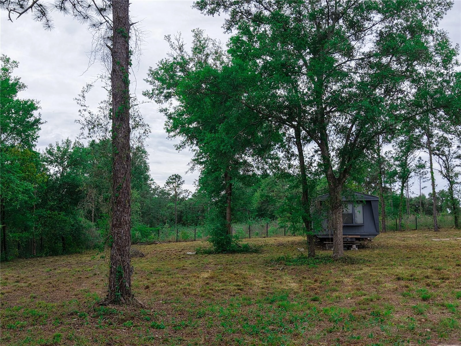 1390 NE 130th Ave, Williston, FL 32696 photo 20