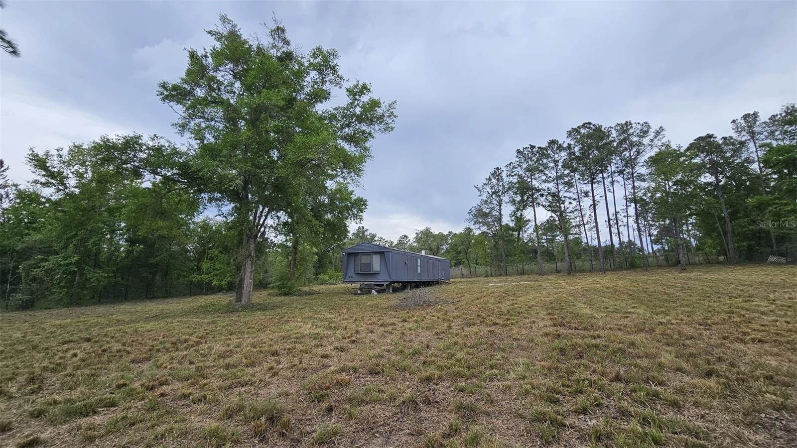 1390 NE 130th Ave, Williston, FL 32696 photo 8