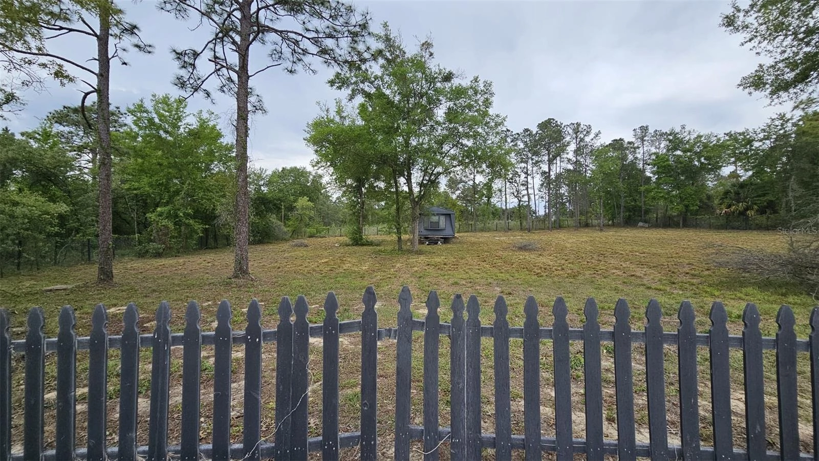 1390 NE 130th Ave, Williston, FL 32696 photo 6