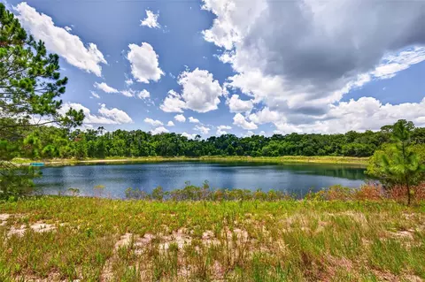 Malauka Loop, Ocklawaha, FL 32179 photo 1