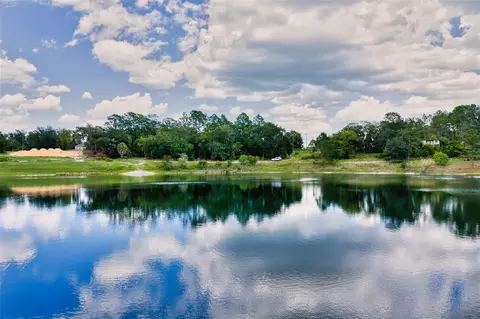 Malauka Loop, Ocklawaha, FL 32179 photo 8