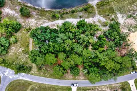 Malauka Loop, Ocklawaha, FL 32179 photo 13