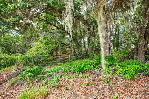 Malauka Loop, Ocklawaha, FL 32179 photo 2