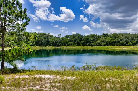 Malauka Loop, Ocklawaha, FL 32179 photo 24