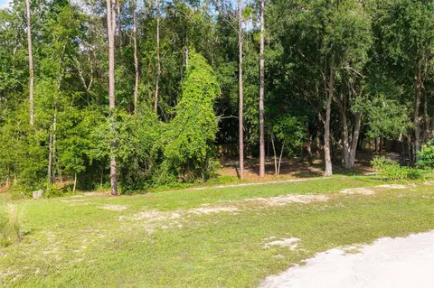 40 Deer Trail Cir, Bronson, FL 32621 photo 19