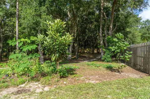 40 Deer Trail Cir, Bronson, FL 32621 photo 23
