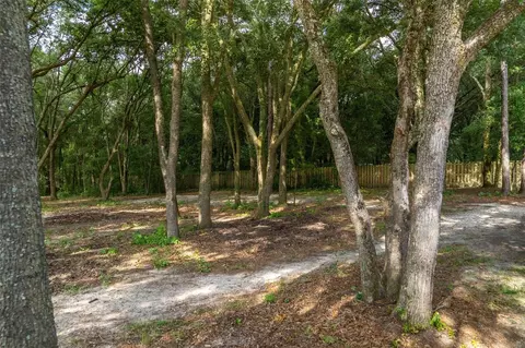 40 Deer Trail Cir, Bronson, FL 32621 photo 4