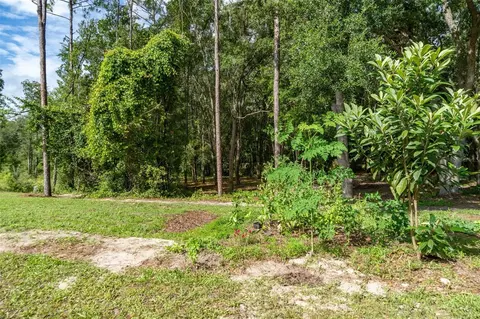 40 Deer Trail Cir, Bronson, FL 32621 photo 25