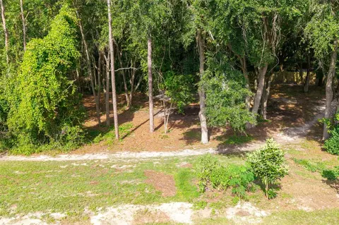 40 Deer Trail Cir, Bronson, FL 32621 photo 20