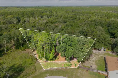 40 Deer Trail Cir, Bronson, FL 32621 photo 2