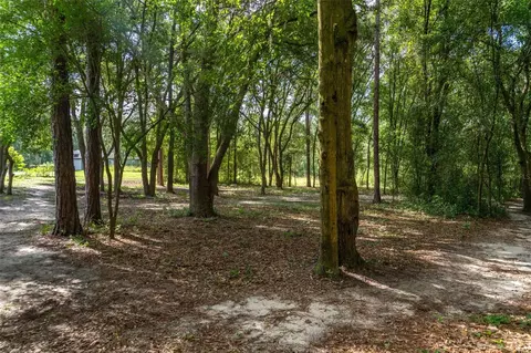 40 Deer Trail Cir, Bronson, FL 32621 photo 6