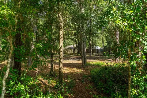 40 Deer Trail Cir, Bronson, FL 32621 photo 5