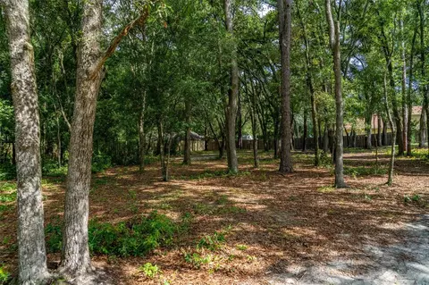 40 Deer Trail Cir, Bronson, FL 32621 photo 8