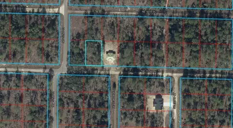 tbd NE 15th Ln, Williston, FL 32696 photo 1