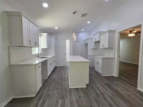 Kitchen - 11 Sequoia Loop Pl, Ocklawaha, FL 32179 photo 5 of 5